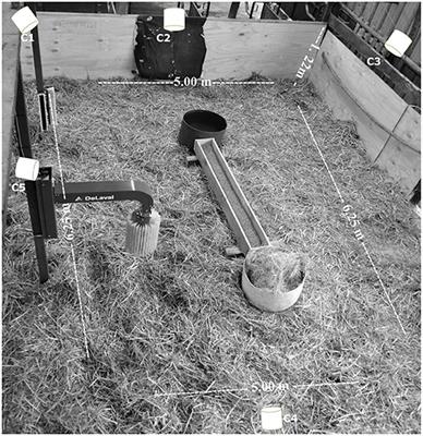 Measuring Calves' Usage of Multiple Environmental Enrichment Objects Provided Simultaneously